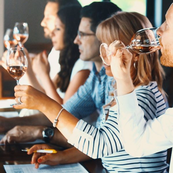 Guests participating in a guided wine tasting experience while evaluating and discussing different wines.