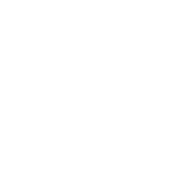 logo (2)